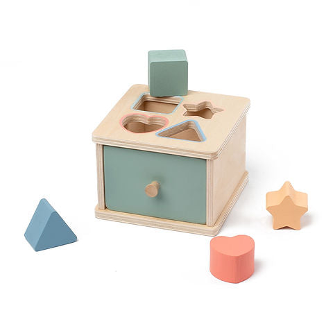 Wooden Colour & Shape Sorting Box | Montessori Learning Toy for Toddlers