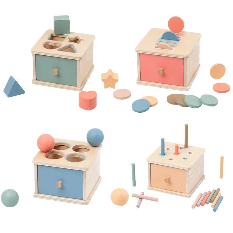 Wooden Colour & Shape Sorting Box | Montessori Learning Toy for Toddlers